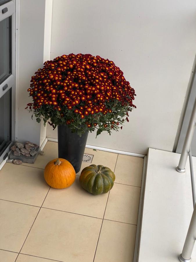 Appartement Апартементи На Французькому Бульвару à Odessa Extérieur photo